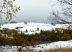 冬、始まりました
